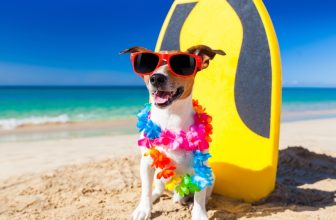 Jet2holidays – Student Discount Deals and Offers