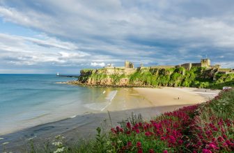 English Heritage – Shop Student Discounts and Savings