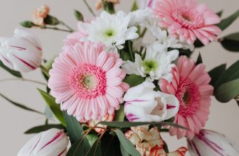 Flower Station Ltd Student Discount Deals and Offers Savings