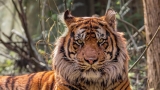 Zoological Society of London – London Zoo Student Discount Deals and Offers